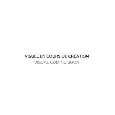 Douche murale Ø200 bras droit