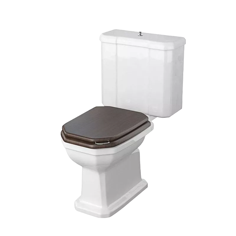 Art Déco toilet and cistern with flush mechanism and pop up knob