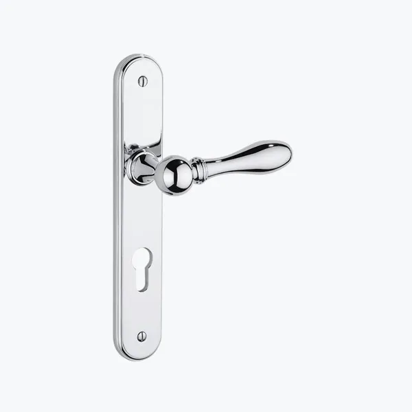 Door handle on plate with key hole