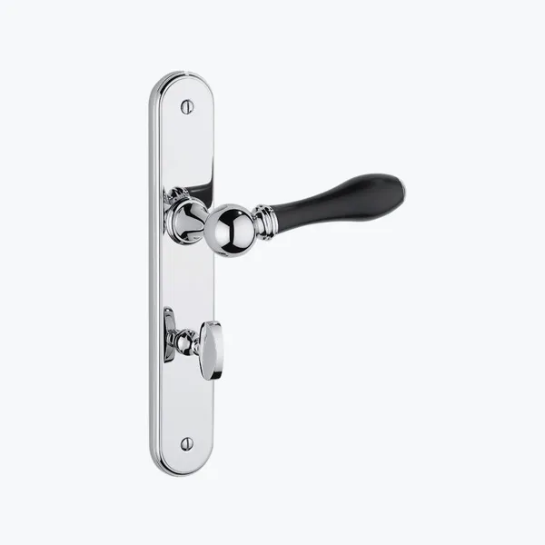  Volevatch Carpe & Lyre Door handle on plate with locking system