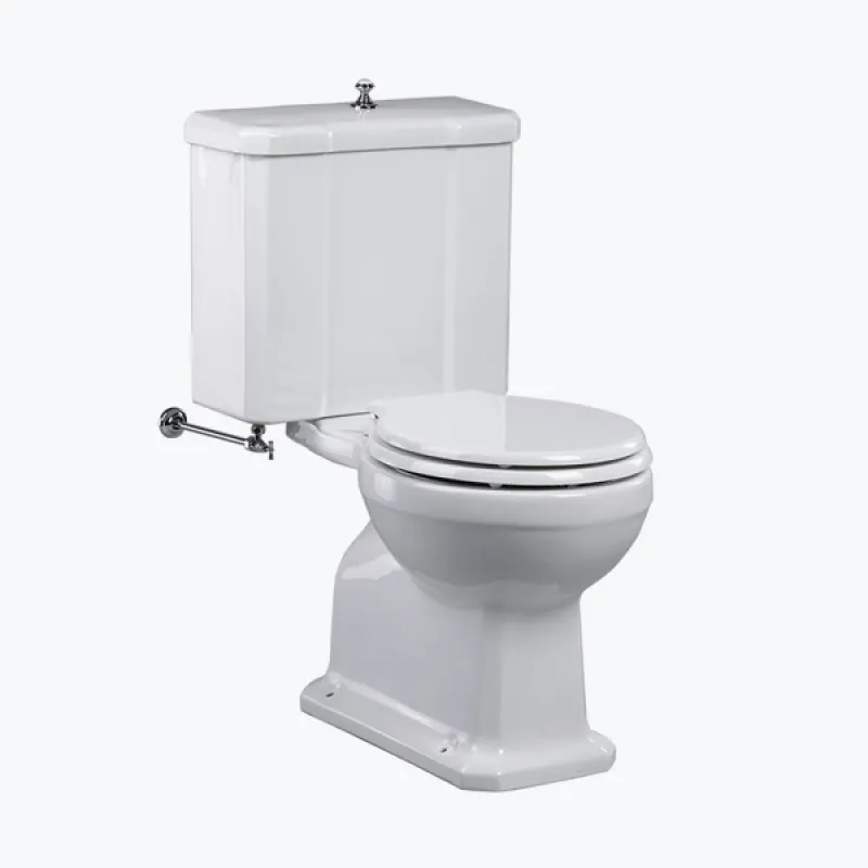 Neoclassic toilet and cistern with flush mechanism and pop up knob