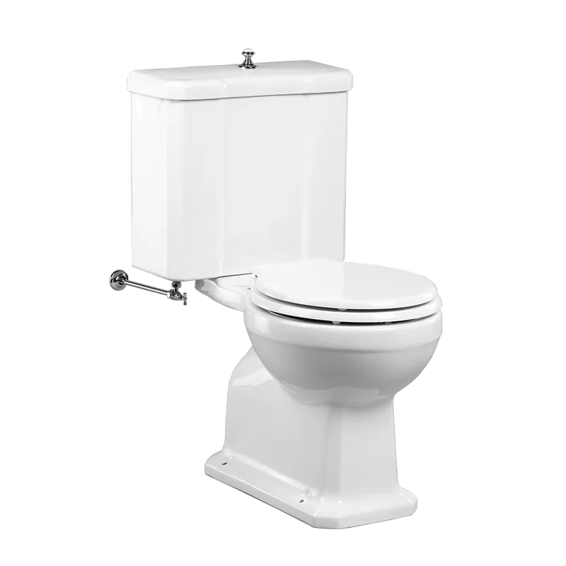  Volevatch Sanitaryware Neoclassic toilet and cistern with flush mechanism and pop up knob, vertical outlet