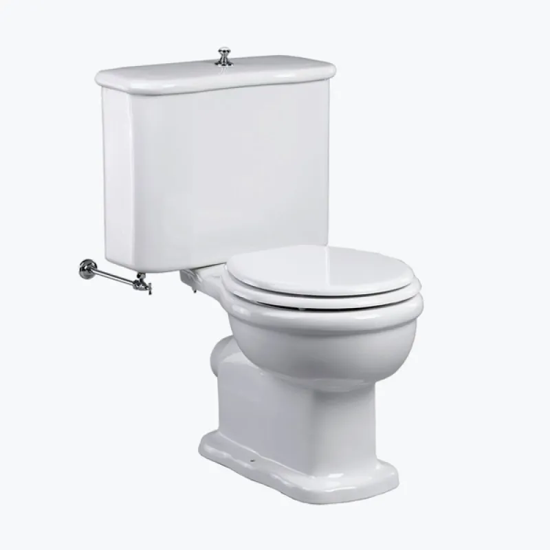  Volevatch Sanitaryware Palladio toilet and cistern with flush mechanism and pop up knob