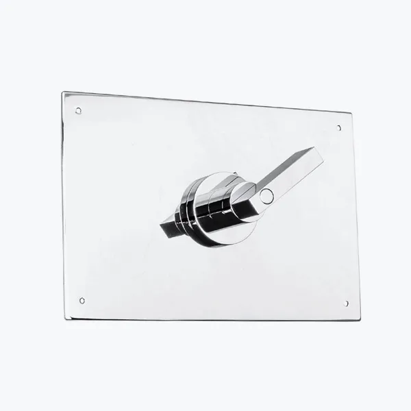  Volevatch Piet Piet Decorative plate and flushing lever handle for GEBERIT system