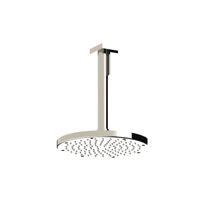 Ceiling mounted arm with Ø250 shower head