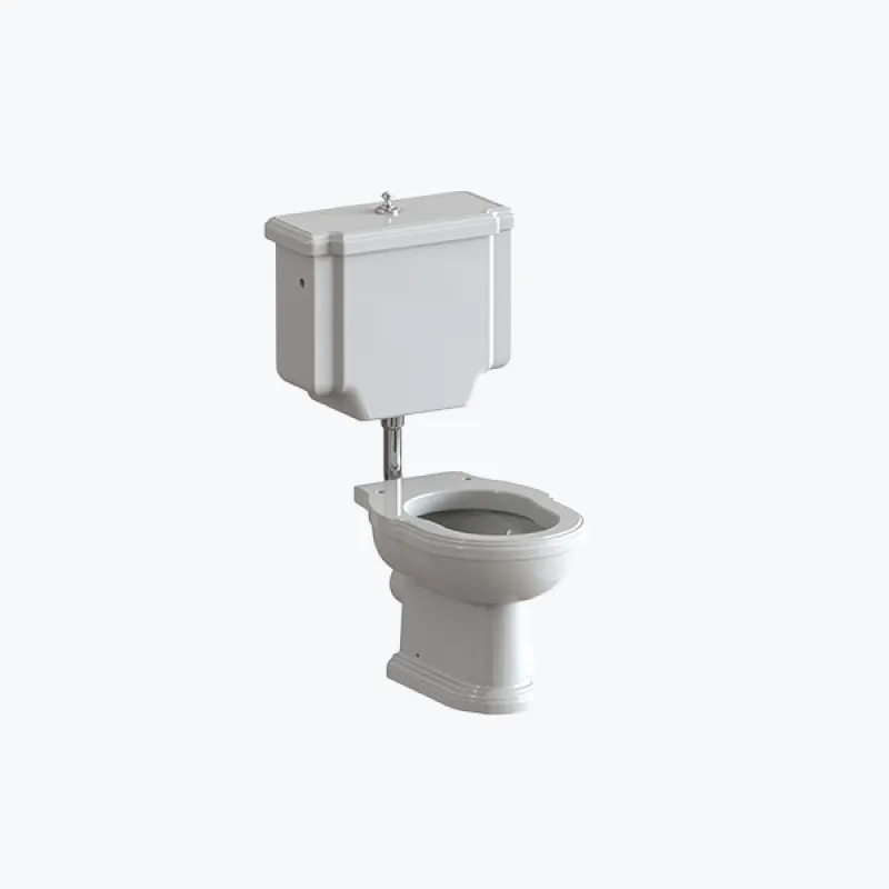  Volevatch Sanitaryware Victor toilet with horizontal outlet and cistern with low level cistern, flush mechanism and pushbutton