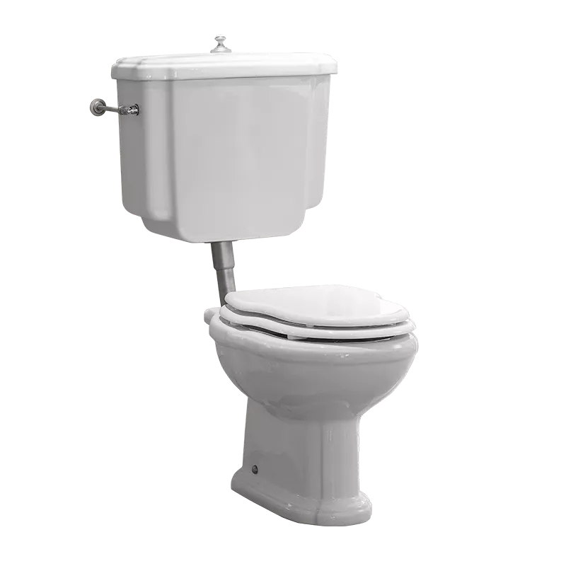  Volevatch WC Victor toilet with vertical outlet and cistern with low level cistern, flush mechanism and pushbutton